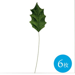 AU[1t 6 f ޗ i p[c R VR nhCh [X t[AWg  DIY AW hCt[ t t  tFCNO[ NX}X[X