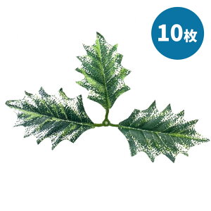 c[g3t 10 tFCNO[ f ޗ i p[c R VR nhCh [X t[AWg   DIY AW t t t  NX}X | VbN 