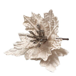 yEB-2z|CZ`AsbN x[W   ޗ i A H  DIY AWg   [X t[AWg A[gt[ [X  t ֏