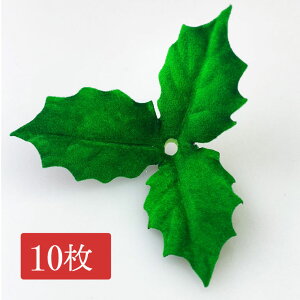 xb`A3t 10 f ޗ i p[c  tFCN nhCh [X t[AWg   DIY AW hCt[ t lH t  NX}X[X