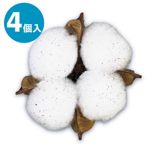 y21E-2zzCgRbgt[ 4 i`  ޗ f k Vv IV  t  G  u IuWF CeA A[gt[ [X nh