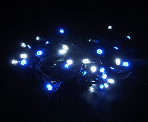 LED200NX}XC~l[VCg 23.5M NX}Xc[  O h A d RZg C~l[V _ d p[eB[ Rg[[      u[ 