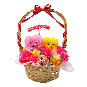 ̓MtgJ[l[VoXPbg MTCY ꂳ  v[h  e[u  킢 u  ԑ J[l[V Mtg v[g bZ[WJ[ht 