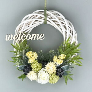 ̓J[l[V[X25cm J[l[V  Ǌ|   Mtg v[g 蕨 CeA fR[V o^Cf[ zCgf[ ̓ ̓ LO 