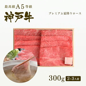 A5 _ˋ v~A~胍[X(v[X) Ԃ 300gi2-3lOj v[g Mtg   јa _ˋ  Ε ̓ ̓ j a j hV̓ 