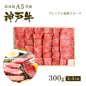 A5 _ˋ v~A~胍[X(v[X) ē(Ă) 300gi2-3lOj ē v[g Mtg   јa _ˋ  Ε ̓ ̓ j a j hV
