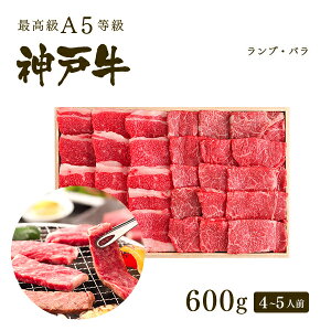 A5 _ˋ IԐgEJr ēZbg(ĂZbg) 600g(v300g+o300g)4-5lO BBQ ē v[g Mtg   јa _ˋ  Ε ̓ ̓ j a 