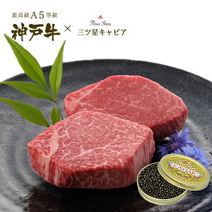 A5 _ˋ Vg[uAELrA MtgZbg(Vg[uA(tB)Xe[L[150g×2]ELrA[30g]) v[g Mtg   јa _ˋ  Ε ̓ 