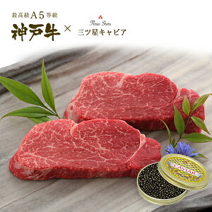 A5 _ˋ tBXe[LELrA MtgZbg (tBXe[L[150g×2]ELrA[30g]) јa _ˋ _˃r[t A5 ؖt v[g Mtg   јa _ˋ 