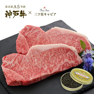 A5 _ˋT[C2ELrA MtgZbg (T[CXe[L[200g×2]ELrA[30g]) јa _ˋ _˃r[t A5 ؖt v[g Mtg   јa _ˋ 