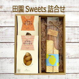 〈北海道・沖縄・離島専用〉■アンジェリーナ■田園Sweets詰合せ送料無料無添加 安心 贈答用 ギフト プレゼントお返し クッキー 詰め合わせ かわいいありがとう 山田錦