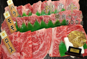 (A4ȏ)@_˃r[t@3ēZbg500gi[XEJrEj@ⓀE o^C zCgf[