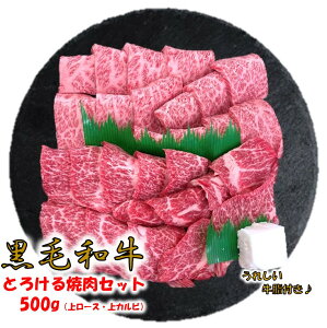 (A4ȏ) јa Ƃ낯悤ȐHI~2ēZbg ネ[XinlV^jEJrioje250g  Ⓚ v[gBBQ  Mtg ē 񂹃O
