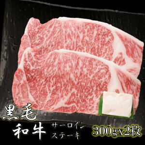 (A4ȏ)јaT[CXe[Lp300g×2 ґ   ē 񂹃O    Ε j 蕨 v[g j a ̓ ̓ 蕨 ~ 2023 v