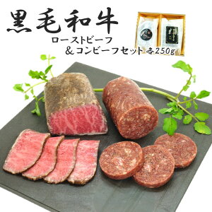 јa[Xgr[t&Rr[tZbgie250gj ϔ er G 蕨  er O ܂  Mtg j  lC 