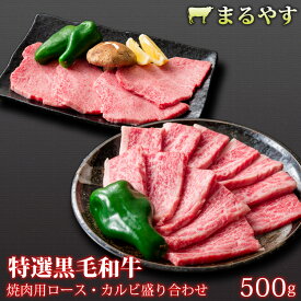 お中元 御中元 夏ギフト 肉 プレゼント 特選黒毛和牛 焼肉 焼き肉 やきにく 焼肉セット 国産 牛肉 焼肉 焼肉用 カルビ 盛合せ 500g (2～3人前) ランプ ラム モモ A5 特選黒毛和牛 霜降り 国産 和牛 ギフト 牛肉 お取り寄せ グルメ 和牛 肉 送料無料 誕生日プレゼント 内祝い