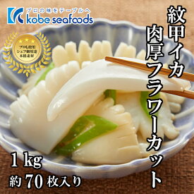 楽天市場 モンゴウイカの通販