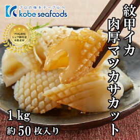 楽天市場 モンゴウイカの通販