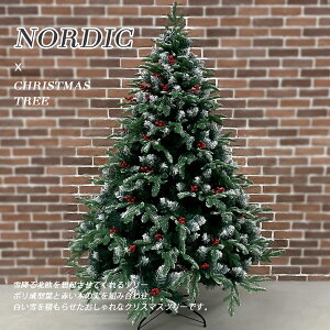 ቻσNX}Xc[ 300cm@}啝ʃ^Cv ڂtAԂtAȖkc[