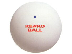 ケンコー　ソフトテニスボール ナガセケンコー（1ダース）《公認球》