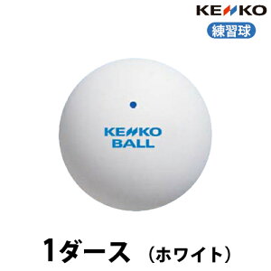 ナガセケンコー ソフトテニスボール 練習球 1ダース ホワイト TSSWV