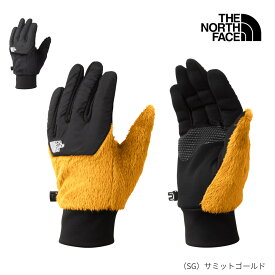 ザ・ノース・フェイス THE NORTH FACE デナリイーチップグローブ NN62312
