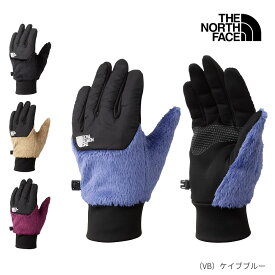 ノースフェイス THE NORTH FACE デナリイーチップグローブ NN62312