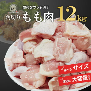 111:59P10{&300~N[|Ip؂ {12kg IׂTCYy2kgpbN×6pbNz Ɩp Ⓚ{ Ƃ 