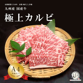 九州産国産牛 極上カルビ焼肉/鉄板焼き用肉 300g/600g/800g/1kg/1.5kg/2kg【A4/A5等級】