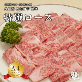 九州産 黒毛和牛 特選 ロース 焼肉・鉄板焼用肉 300g/600g/800g/1kg/1.5kg/2kg【A4/A5等級】