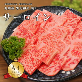 九州産 黒毛和牛 サーロイン 焼肉・鉄板焼き用肉 300g/600/800g/1kg/1.5kg/2kg【A4/A5等級】