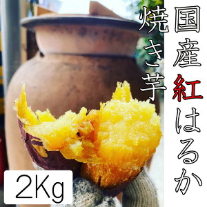 ⓀĂ2kgi8`9{jg͂邩 ڏĂ ĂĂ邩炷ɐHׂ܂IⓀŐHׂƃACX݂ɁI𓀂ŃV[xbg݂ɁIߒĂłI_CGbg