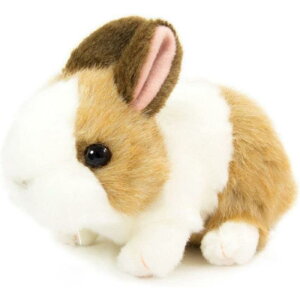 肭̂Ȃ܂ ʂ ETM uE 180499 g  v[g a Mtg CeA