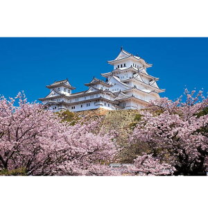 1000s[X WO\[pY ̍ƕPH () (50x75cm)@̂܂