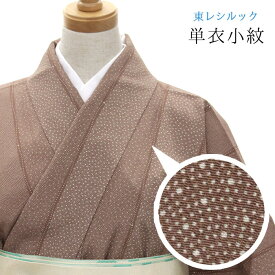 【東レシルック洗える着物】単衣小紋 シルック　sl-phk216【小紋】【送料無料】【仕立て上がり】居敷当て付き・広衿仕立てちりめん地　茶色/江戸小紋縞