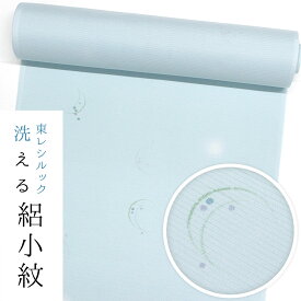 【ワンランク上のお仕立て付き価格】【東レシルック洗える着物】絽小紋rk484【洗える夏着物】【送料無料】絽ちりめん　水色／つゆ芝に水玉