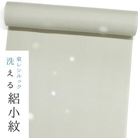【ワンランク上のお仕立て付き価格】【東レシルック洗える着物】絽小紋rk484【洗える夏着物】【送料無料】絽ちりめん　そば切り色／蛍ぼかし