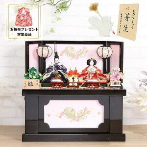 l` [  Hqe fhJ p[uhE 55cm [ ЂȐl` ߋ ̎q j ̐ߋ ЂȍՂ