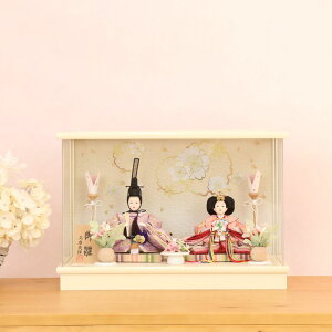 l` RpNg  P[X 39cm ЂȐl` P[X e 킢  k   sN j ߋ ЂȍՂ ̐ߋ