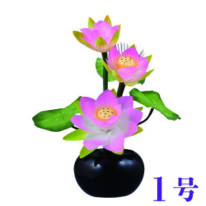 ~ ~iX 1 @ 37cm ~ _ ~ RpNg ~ ~j