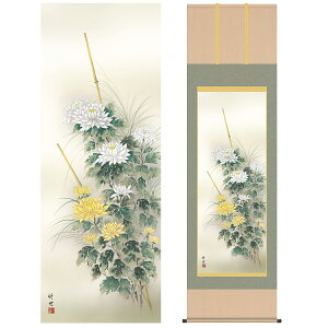 | | ̊ _ a ڌ Ԓ| H| e c | O 54.5cm 190cm jq{\ ؉dl 10Nԕۏ [ h  t ̓ hV̓ v[g 