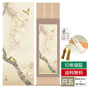 | | ̊ _ a ڌ Ԓ| t|   x O 54.5cm 190cm jq{\ ؉dl 10Nԕۏ [ h  t ̓ hV̓ v[g 