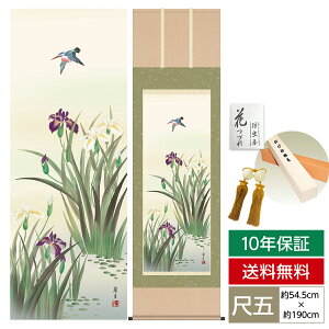 掛け軸 掛軸 床の間 モダン 和風 尺五 花鳥掛軸 夏掛 菖蒲 吉井 蘭月 暁山会 約54.5cm 190cm 洛彩緞子本表装 筋廻仕様 10年間保証 収納箱 防虫香 風鎮 付き 父の日 敬老の日 プレゼント巨匠 複製画