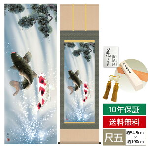 | | ̊ _ a ڌ [߂̐ߋ vwꏸ XR ό O 54.5cm 190cm jq{\ \i10Nԕۏ [ h  t ̓ hV̓ v[g킢