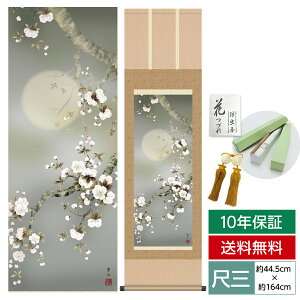 | | ̊ _ a ڎO Ԓ| t|   t  44.5 164cm jq{\ 10Nԕۏ [ h  t ̓ hV̓ v[g  ^yXg