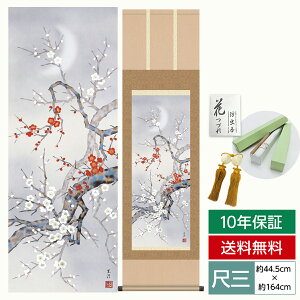 | | ̊ _ a ڎO Ԓ| t| g~   F 44.5 164cm jq{\ 10Nԕۏ [ h  t ̓ hV̓ v[g  ^