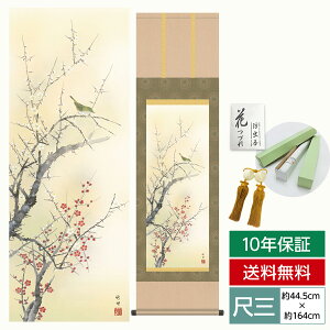 | | ̊ _ a ڎO Ԓ| t| g~ c | O 44.5 164cm jq{\ 10Nԕۏ [ h  t ̓ hV̓ v[g  ^