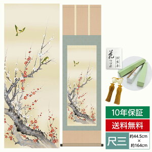 | | ̊ _ a ڎO Ԓ| t| g~ kR  O 44.5 164cm jq{\ 10Nԕۏ [ h  t ̓ hV̓ v[g  ^