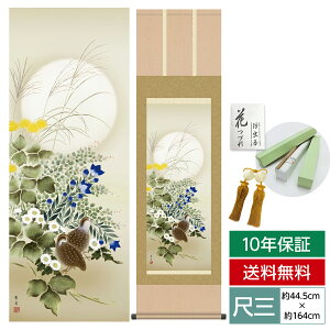 | | ̊ _ a ڎO Ԓ| H| HG kR  O 44.5 164cm jq{\ 10Nԕۏ [ h  t ̓ hV̓ v[g  ^y