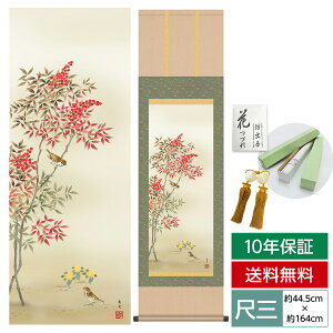 | | ̊ _ a ڎO Ԓ| ~| V kR  O 44.5 164cm jq{\ 10Nԕۏ [ h  t ̓ hV̓ v[g  ^y